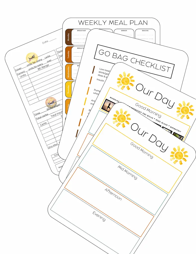 Binder Listing Pic.webp